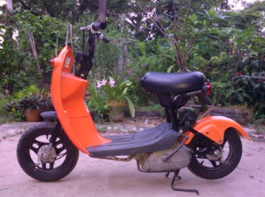 ขายรถป๊อป Suzuki Choinori (โชอิโนริ) 50.cc 4 จังหวะ