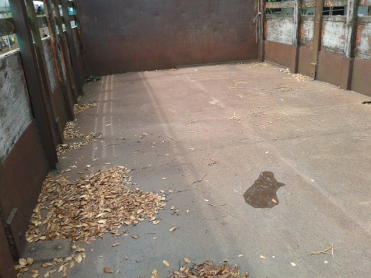 สิบล้อหัวยาว  1  เพลา สภาพรถสวย  พร้อมใช้งาน