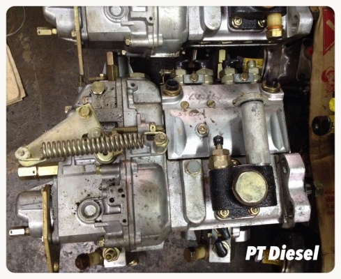 กวนาเร่งแข็ง