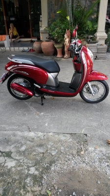 ขาย Honda Scoopy I ปี 2013