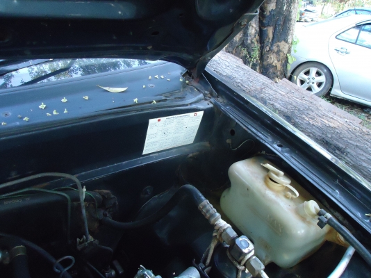 tfrหัวเดียว ปี32 ราคา76000 tfrหัวเดียว ปี32 ราคา76000