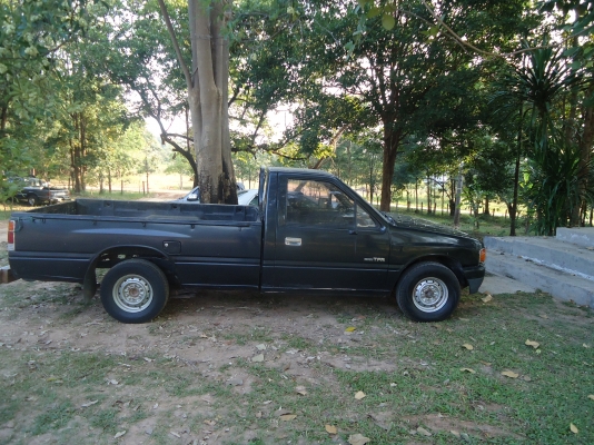 tfrหัวเดียว ปี32 ราคา76000 tfrหัวเดียว ปี32 ราคา76000