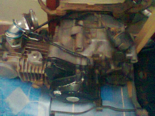 ขายครับผม