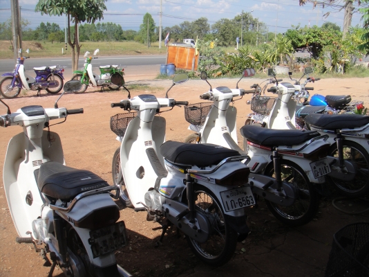 ขายฮอนด้าดรีม คุรุสภา สีขาว สภาพสวยพร้อมใช้งาน (ทะเบียนพร้อมชุดโอน )