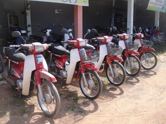 ขายฮอนด้าดรีม คุรุสภา สีแดง สภาพสวยพร้อมใช้งาน (ทะเบียนพร้อมชุดโอน )