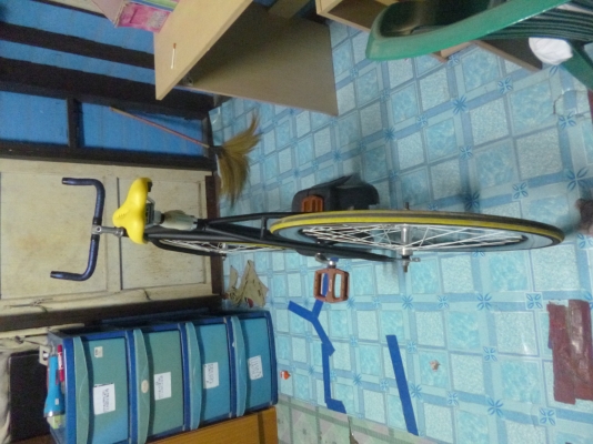 ด่วนนน ขายฟิกเกียร์