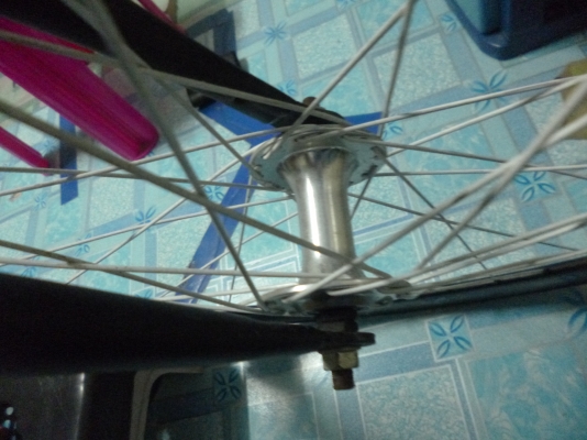 ด่วนนน ขายฟิกเกียร์