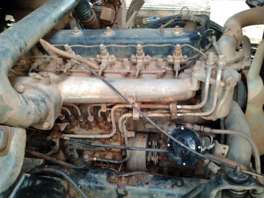 ขาย 6ล้อ บรรทุก "ขวัญใจแฟนพันธ์ุแท้ รถแรง" !!! ISUZU NPR120 ปี39 NPR66LX5 T วางเครื่อง 6BG1 175 แรง แรงจัดประหยัด ไม่หลวม ไม่เยิ้ม ช่วงล่างใหญ่ เฟืองท้าย F คานหน้า เสี่ยสั่งลุย คัสซีสวย ไม่มีบวม พาวเวอร์ แอร์ เบรคทริฟฟี่ ***ขายแล้วครับขอบคุณ Tru