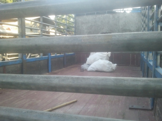 ขาย NPR 120 ยาว 5 เมตรสภาพเดิมๆ เครื่องดี แชชซีสวยครับ ขาย NPR 120 ยาว 5 เมตรสภาพเดิมๆ เครื่องดี แชชซีสวยครับ