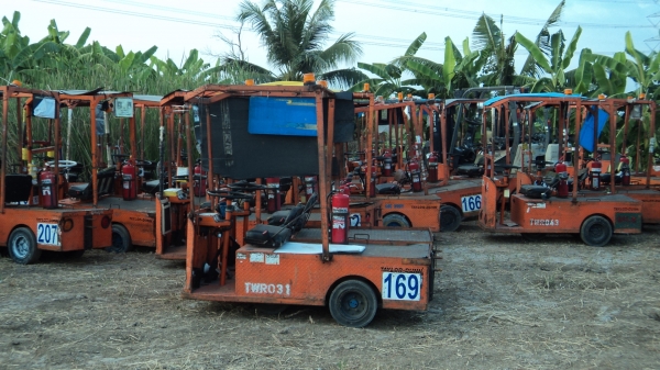 ขายtaylor dunn