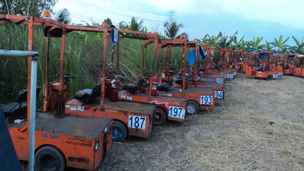 ขายtaylor dunn