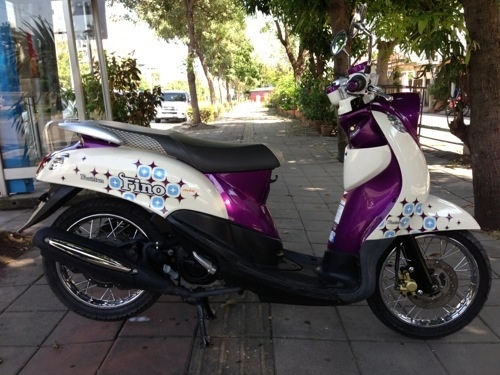 ขาย fino เกย์แยก