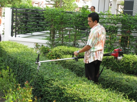 ขายเครื่องตัดแต่งกิ่งไม้เอนกประสงค์ (4 in 1) ขายเครื่องตัดแต่งกิ่งไม้เอนกประสงค์ (4 in 1)