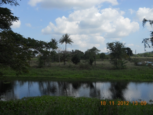 ขายดินสวยๆพร้อมจัดสรรหรือทำรีสรอทอยู่ปากช่อง16ไร่