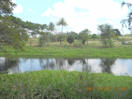 ขายดินสวยๆพร้อมจัดสรรหรือทำรีสรอทอยู่ปากช่อง16ไร่