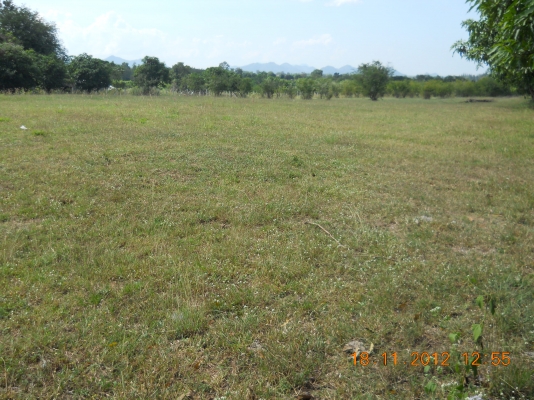 ขายดินสวยๆพร้อมจัดสรรหรือทำรีสรอทอยู่ปากช่อง16ไร่