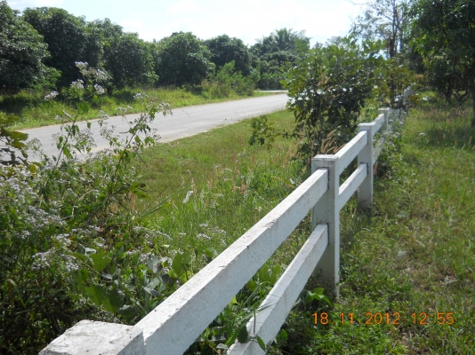 ขายดินสวยๆพร้อมจัดสรรหรือทำรีสรอทอยู่ปากช่อง16ไร่