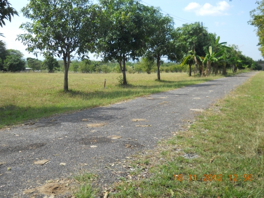 ขายดินสวยๆพร้อมจัดสรรหรือทำรีสรอทอยู่ปากช่อง16ไร่