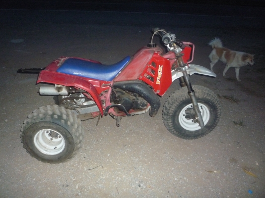 ขาย HONDA ATC 250R ขาย HONDA ATC 250R