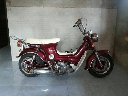 ขาย ชาลี สตาร์ทมือ