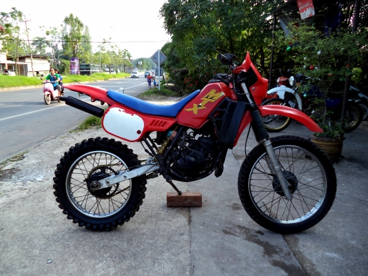 หนุ่ม ปราจีน : ขาย Honda MTXS125 สวยๆแรงๆ ทะเบียนครับ