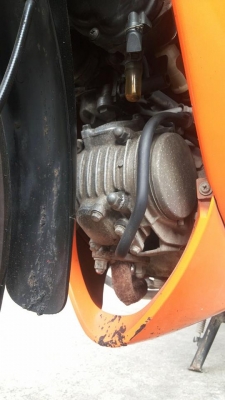 ขายเวฟ 125 สีส้ม-ขาว ขาย 19,000 บาท