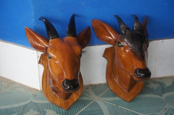 ต้องการแลกเขาเลียงผากับถังอ๊อกซิเจนดำน้ำหรืออุปกรณ์ดำน้ำ