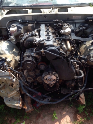 ไทเกอร์ดีโฟร์ดี ไทเกอร์ดีโฟร์ดี