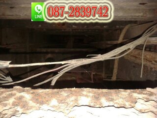 ขาย รถบรรทุก 10 ล้อ  1  เพลา   ISUZU ROCKY 175