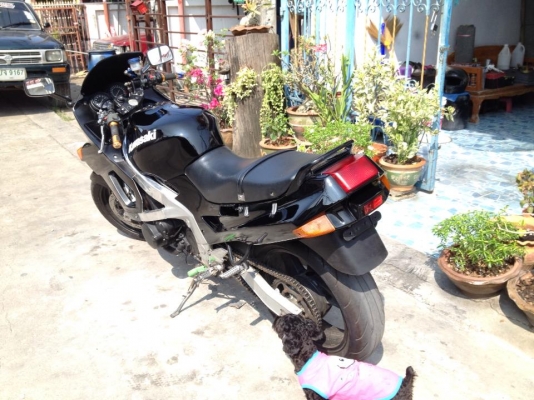 ขาย/เเลกครับ kawasaki ZZR 4สูบ 400 cc อินวอย เเท้ รถคันใหญ่ขับทางไกลสบาย เปลี่ยนใหม่หมด ยาง เเบต น้ำมันเครื่อง ผ้าเบรค. สภาพดีมาก ควันไม่ไหล เครื่องเเห้ง คาบูไม่เยิ้ม ความร้อนไม่มีปัญหา เติมน้ำมันขับกลับได้เลย 42000 ครับ. อย่าลืมน่ะเวฟ i1สูบ 125 cc 48000 ขาย/เเลกครับ kawasaki ZZR 4สูบ 400 cc อินวอย เเท้ รถคันใหญ่ขับทางไกลสบาย เปลี่ยนใหม่หมด ยาง เเบต น้ำมันเครื่อง ผ้าเบรค. สภาพดีมาก ควันไม่ไหล เครื่องเเห้ง คาบูไม่เยิ้ม ความร้อนไม่มีปัญหา เติมน้ำมันขับกลับได้เลย 42000 ครับ. อย่าลืมน่ะเวฟ i1สูบ 125 cc 48000