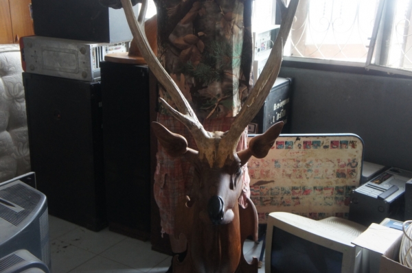 ต้องการแลกเขากวางกับถังอ๊อกซิเจนดำน้ำ