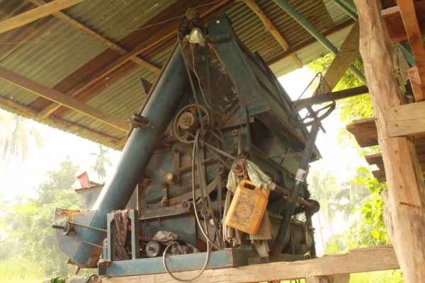 ขายเครื่องนวดข้าว