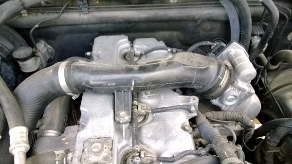 รถปิ๊กอัพ ตู้เย็น ยี่ห้อ ISUZU รถปิ๊กอัพ ตู้เย็น ยี่ห้อ ISUZU