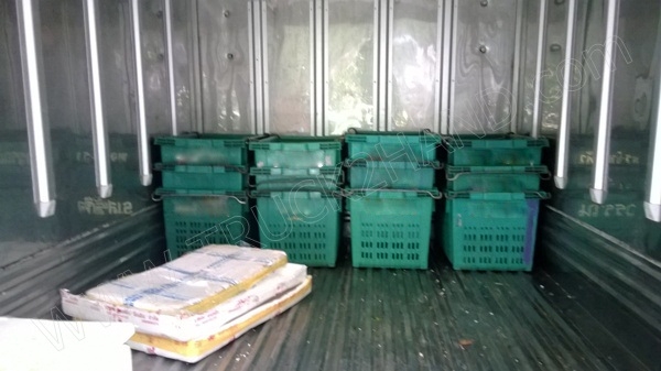 รถปิ๊กอัพ ตู้เย็น ยี่ห้อ ISUZU รถปิ๊กอัพ ตู้เย็น ยี่ห้อ ISUZU