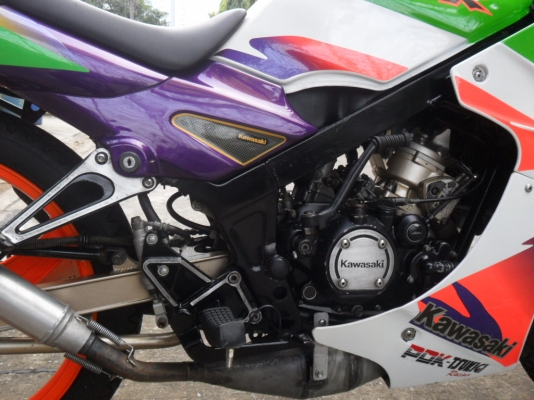 ขายKRปี40เสื้อทอง