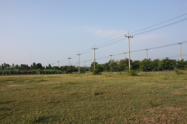 ขายที่ดิน48ไร่ ต. หนองประดู่ เส้นหลัก ติดถนนลายยางเส้น เลาขวัญ-ตลาดใหม่