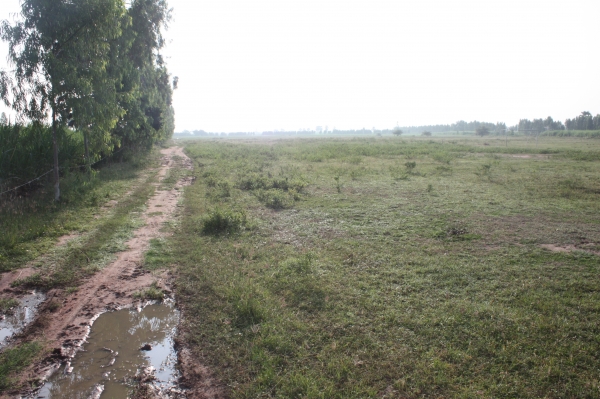 ขายที่ดิน48ไร่ ต. หนองประดู่ เส้นหลัก ติดถนนลายยางเส้น เลาขวัญ-ตลาดใหม่