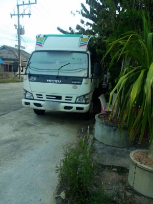 รถอีซูซุ 6 ล้อดั้ม NPR 130 แรงม้า ปี 51 ( รถวิ่ง 12x,xxx กม. ) สนใจติดต่อ 081 - 6079515 รถอีซูซุ 6 ล้อดั้ม NPR 130 แรงม้า ปี 51 ( รถวิ่ง 12x,xxx กม. ) สนใจติดต่อ 081 - 6079515