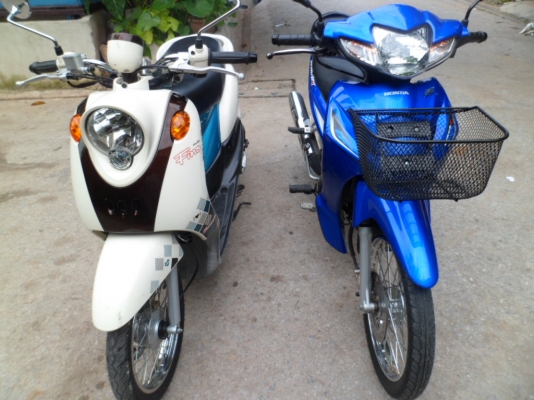 ราคา ส่ง ปี 2013