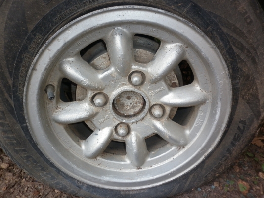 ขายล้อกล้วย ขอบ 13