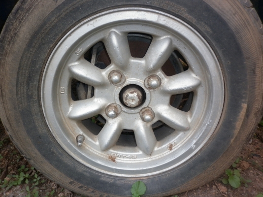 ขายล้อกล้วย ขอบ 13