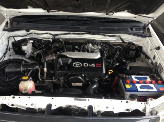 วีโก้หัวเดียว วีโก้หัวเดียว