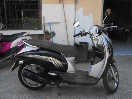 ขาย Scoopy ปลายปี 54  สภาพดี