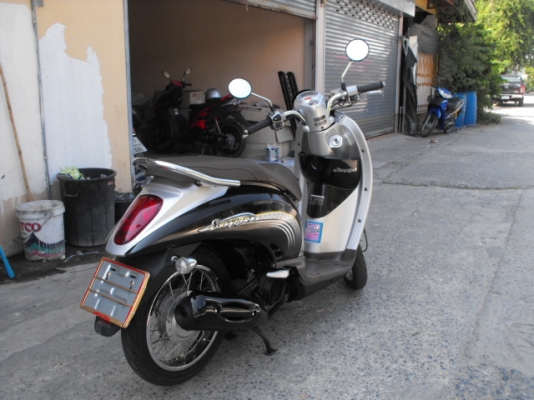 ขาย Scoopy ปลายปี 54  สภาพดี