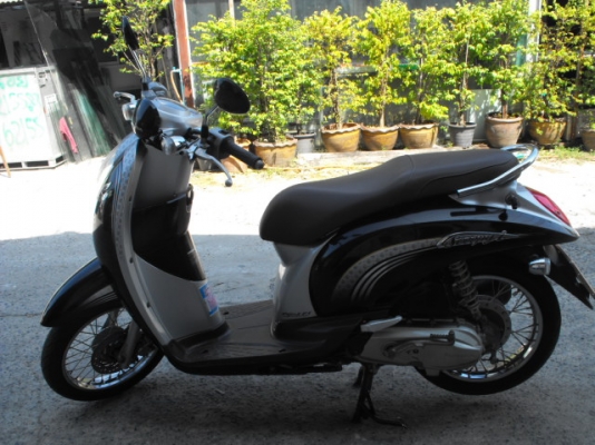 ขาย Scoopy ปลายปี 54  สภาพดี