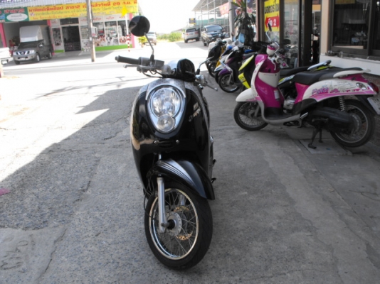 ขาย Scoopy ปลายปี 54  สภาพดี
