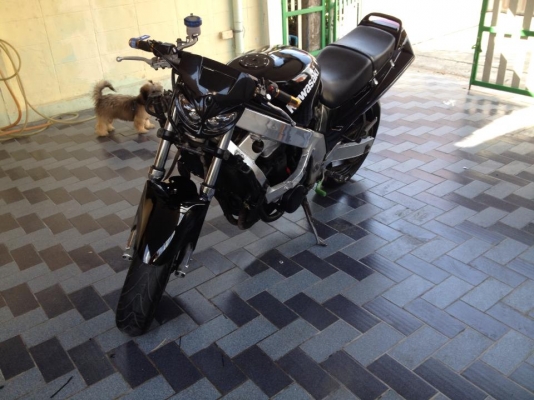 ขาย ต้นตระกูลนินจา