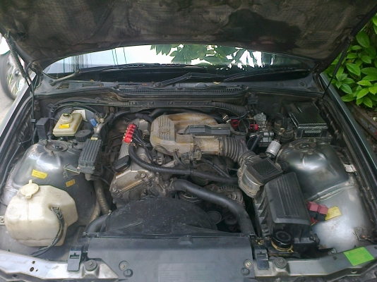 ขายรถ BMW 318i สภาพสวย พร้อมใช้ รถใช้น้อย ขายรถ BMW 318i สภาพสวย พร้อมใช้ รถใช้น้อย