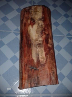 ไม้สวยๆๆ ที่ทุกคนหาและอยากได้ไปทำหัวกรงนกหัวจุก  หรือ  ด้ามปืน  ด้ามมีด สวยแน่ๆๆรับรอง