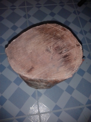 ไม้สวยๆๆ ที่ทุกคนหาและอยากได้ไปทำหัวกรงนกหัวจุก  หรือ  ด้ามปืน  ด้ามมีด สวยแน่ๆๆรับรอง